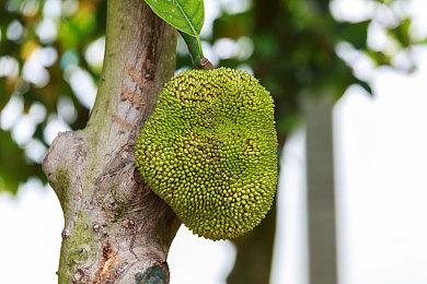 VR游戏《灭亡之后》将是PSVR2首发游戏